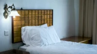 Image article Punaises de lit en copropriété : vers une prévention et une éradication efficaces