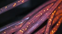 Image article Installation de la fibre optique en copropriété : guide complet